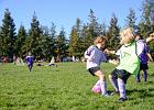 Fall Soccer